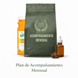 Inicio plan de acompañamiento mensual